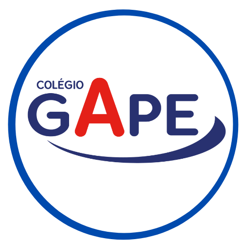 Colegio Gape Ltda